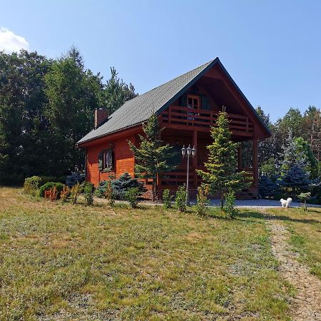 Kamienczyk Dezerta Domek Na Wsi Nad Jeziorem , Prywatny Staw מראה חיצוני תמונה