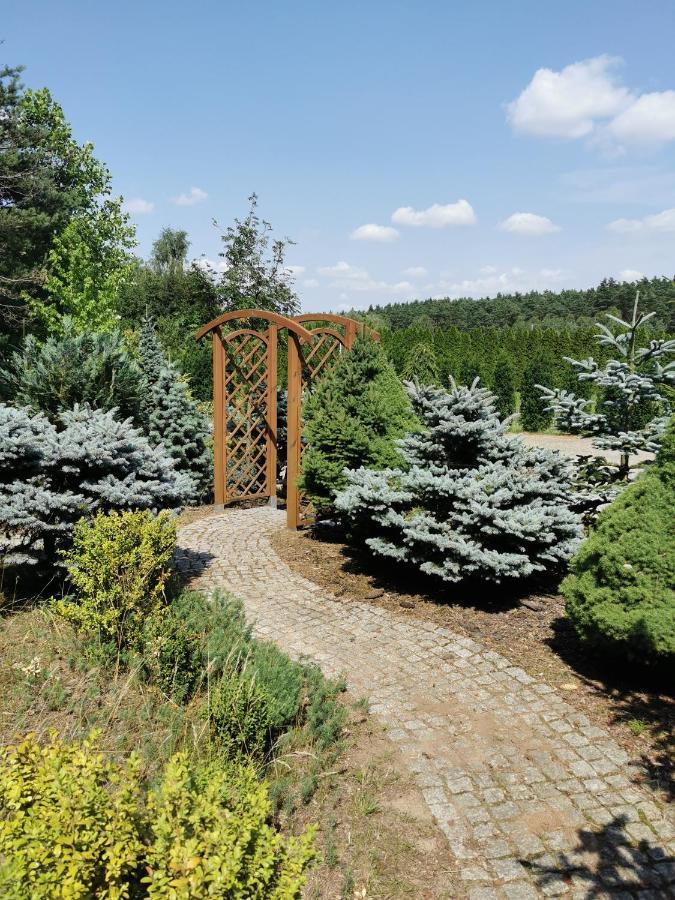 Kamienczyk Dezerta Domek Na Wsi Nad Jeziorem , Prywatny Staw מראה חיצוני תמונה